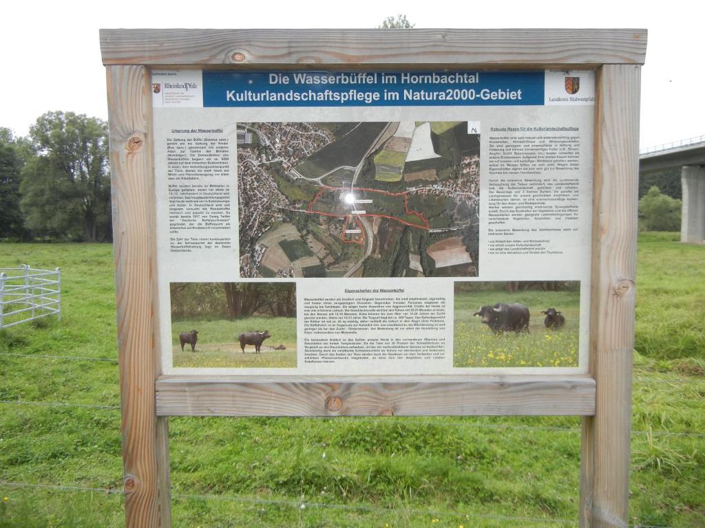 Gaestehaus Monika Hornbach Exteriör bild